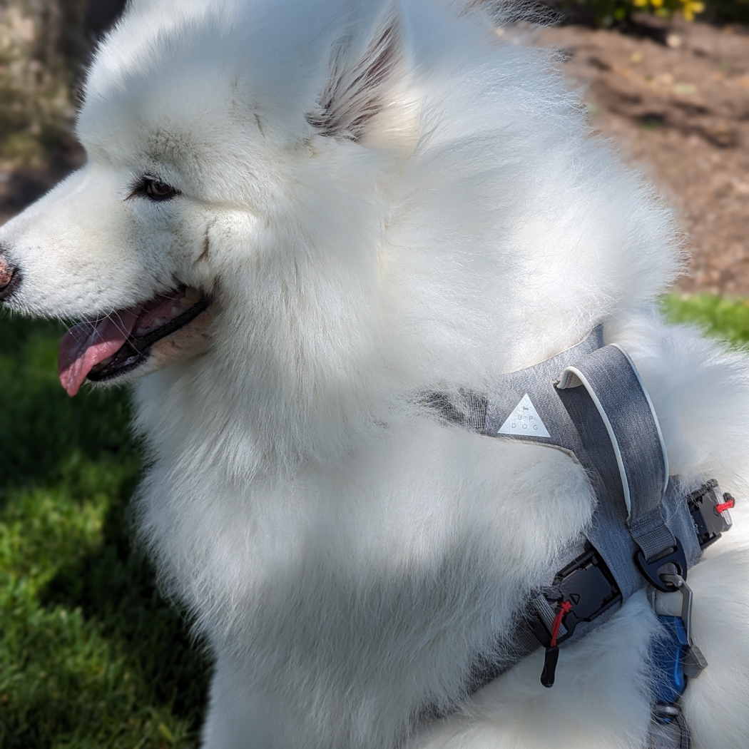 Magnetic Dog Harness - American Bark Bliss