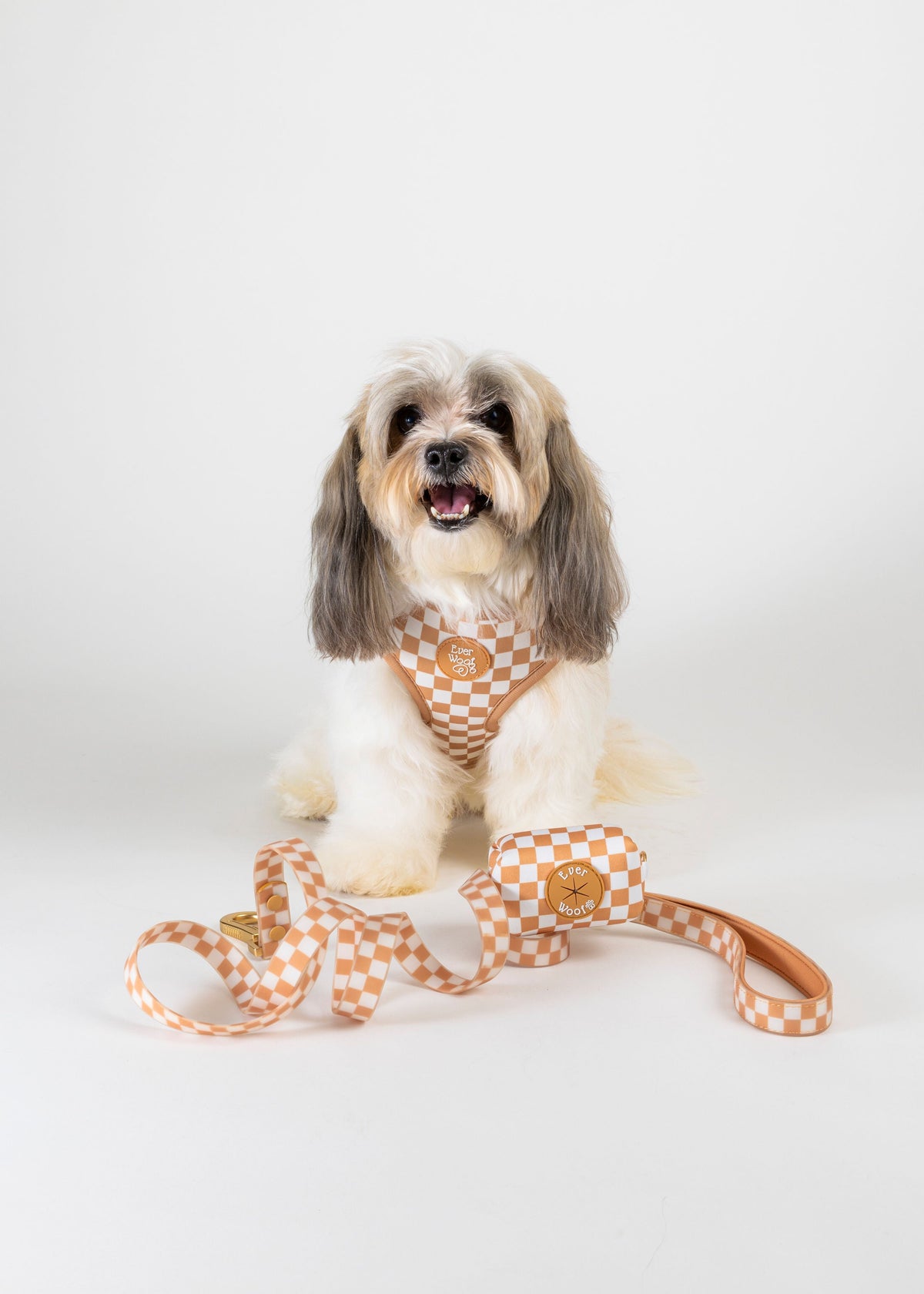 Check Me Out Adjustable Harness - American Bark Bliss