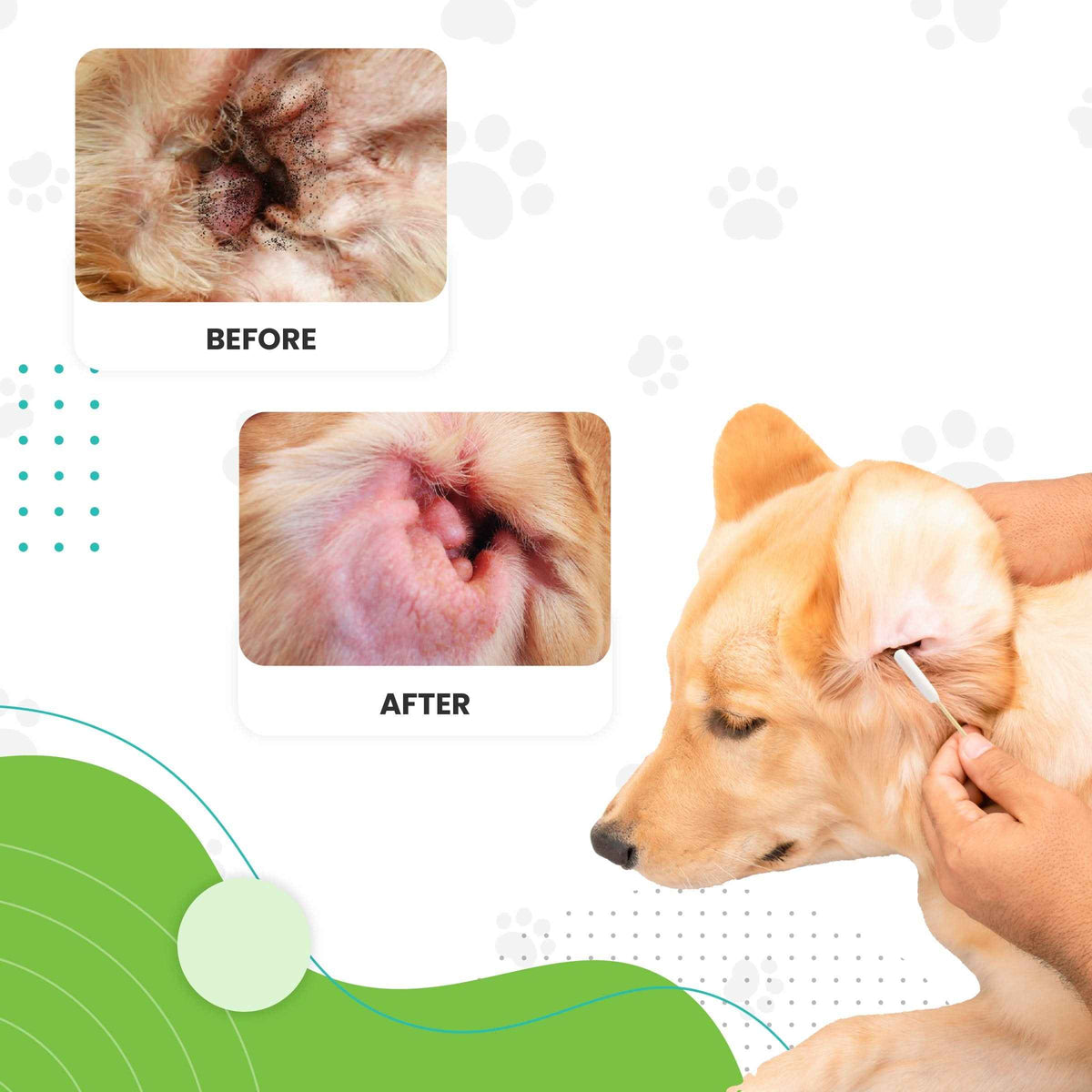 Dog Ear Swabs