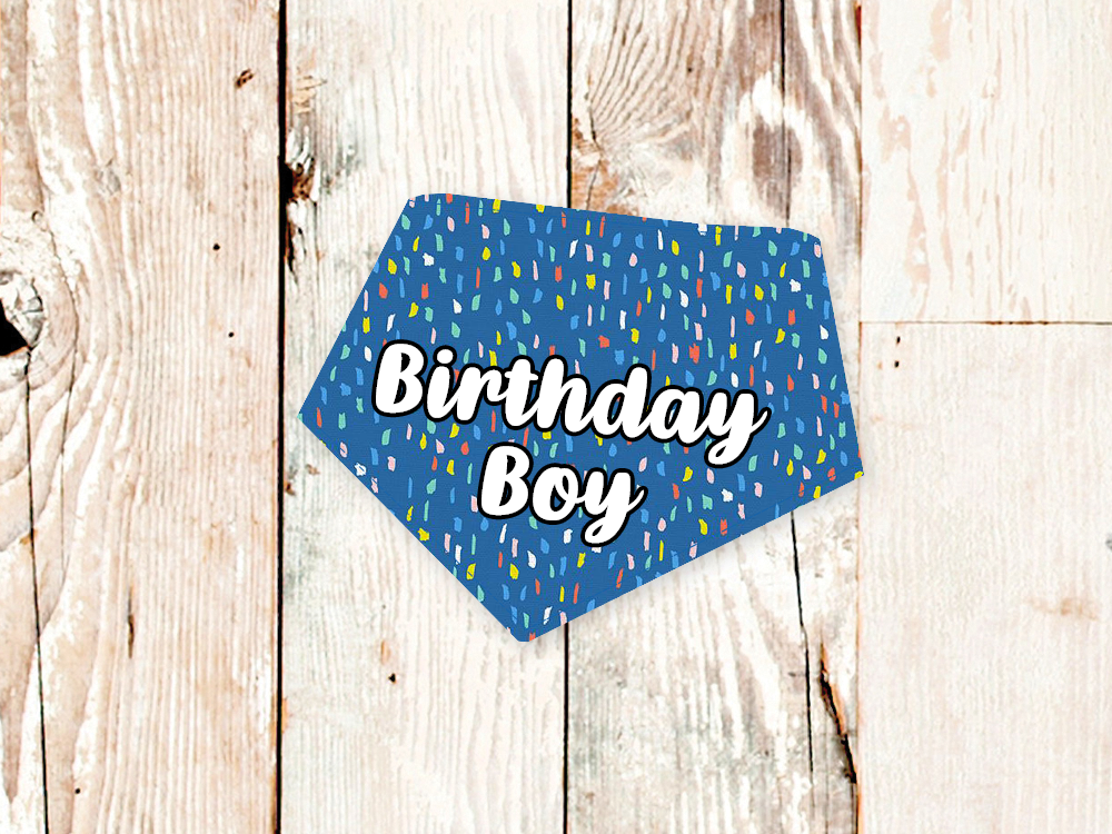"Birthday Boy" Blue Party Dog Bandana - American Bark Bliss