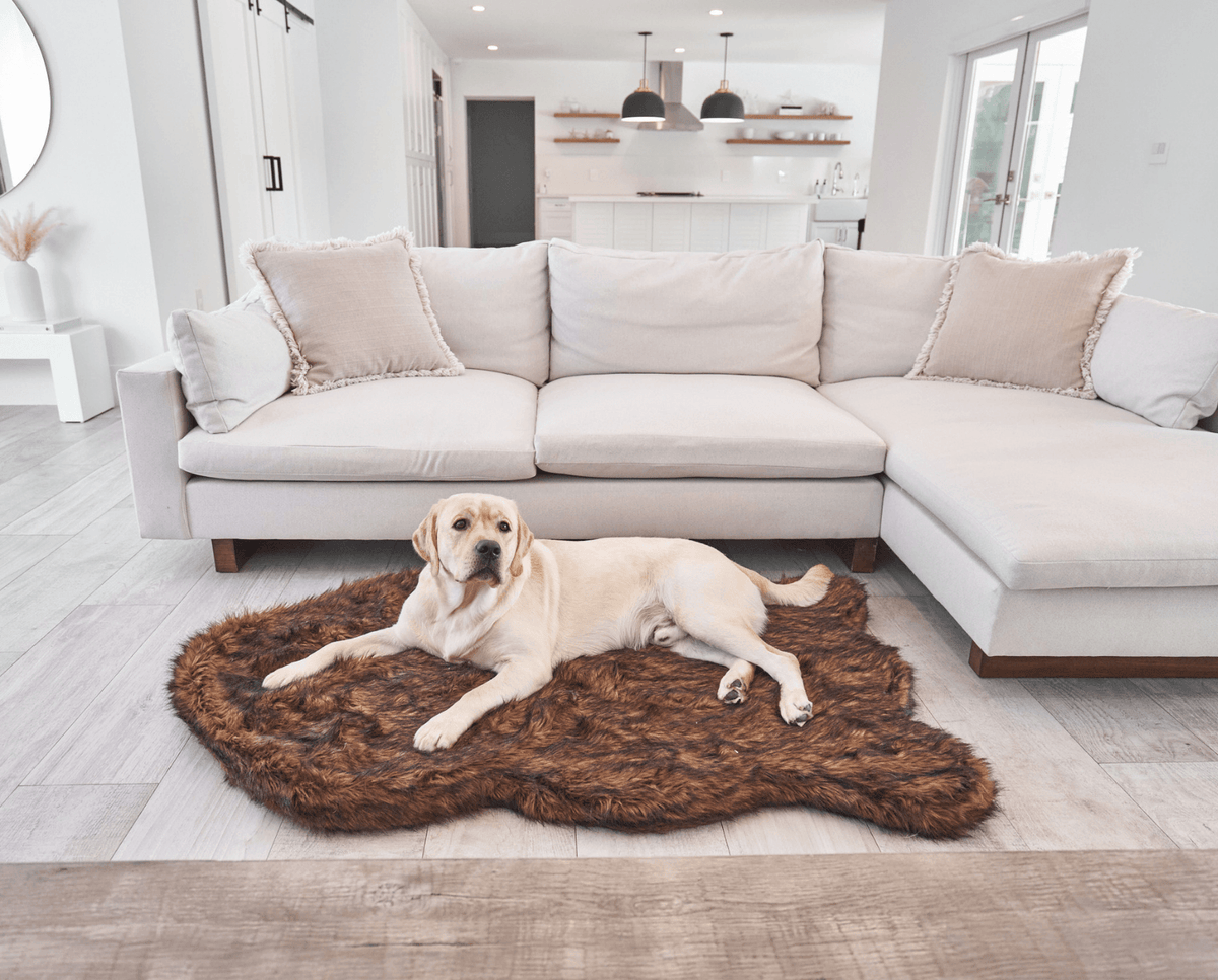 PupRug by Paw.com® Faux Fur Orthopedic Dog Bed - Curve Brown - American Bark Bliss