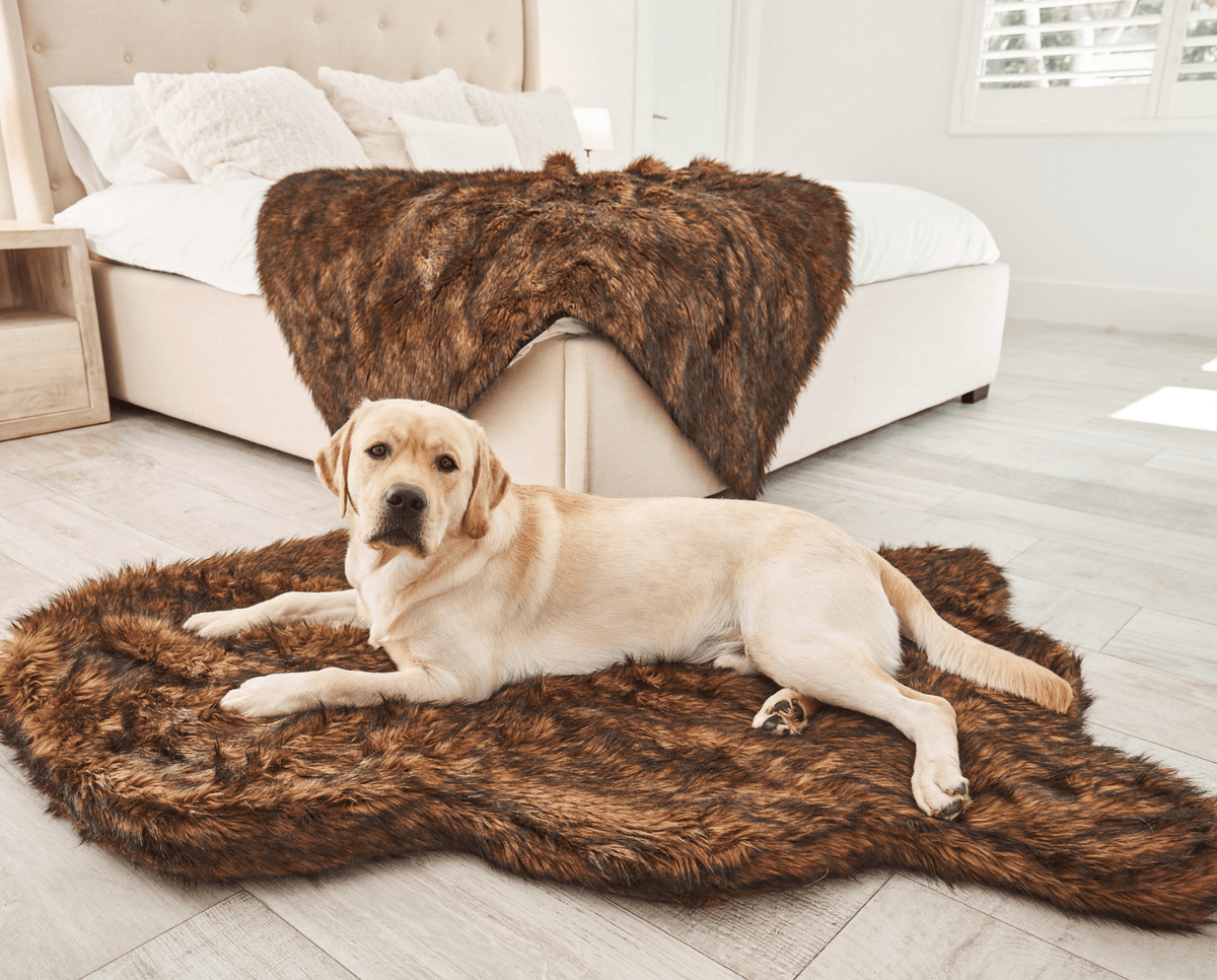 PupRug by Paw.com® Faux Fur Orthopedic Dog Bed - Curve Brown - American Bark Bliss