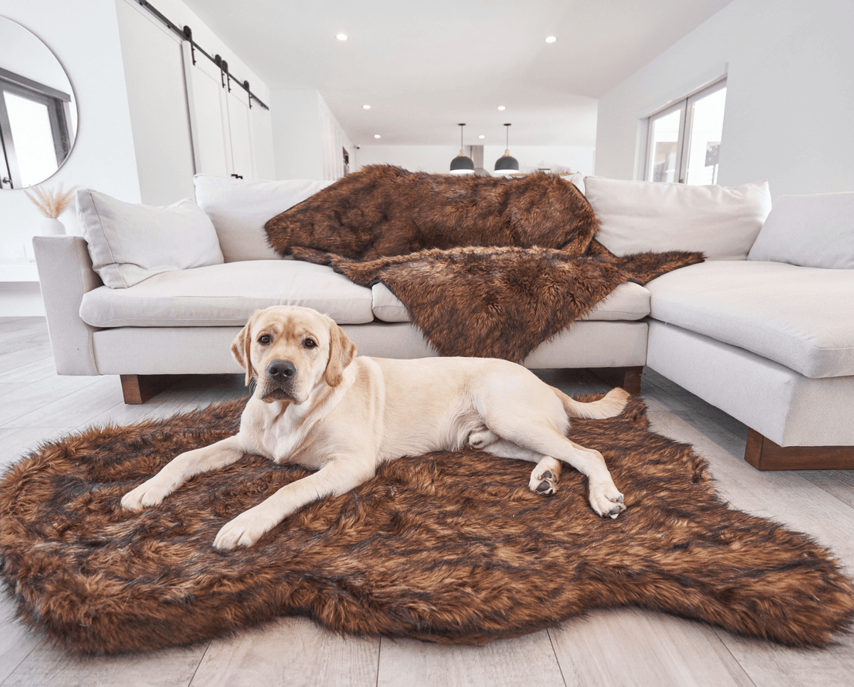 PupRug by Paw.com® Faux Fur Orthopedic Dog Bed - Curve Brown - American Bark Bliss