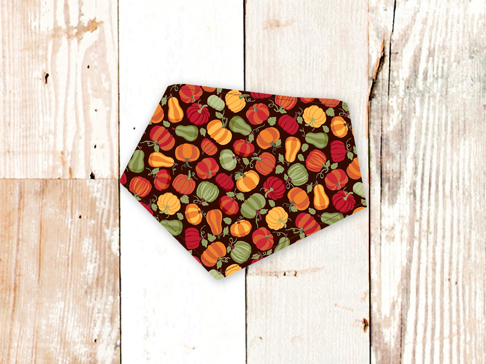 "Brown Pumpkins" Dog Bandana - American Bark Bliss