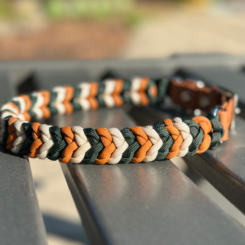 Coiled Charm Hand Braided Dog Collar in Hunter Green, Mustard, & Cream - American Bark Bliss