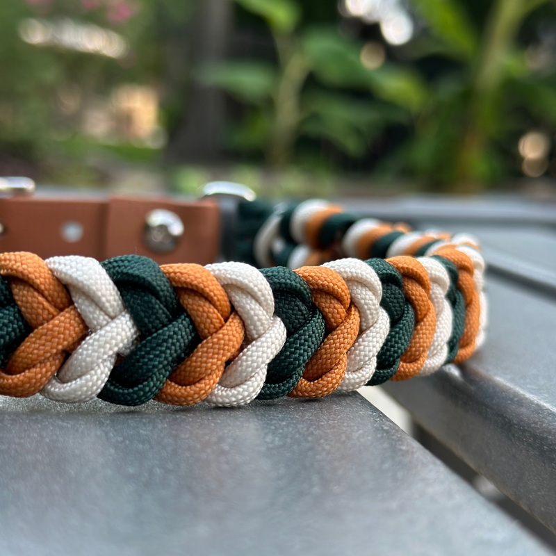 Coiled Charm Hand Braided Dog Collar in Hunter Green, Mustard, & Cream - American Bark Bliss