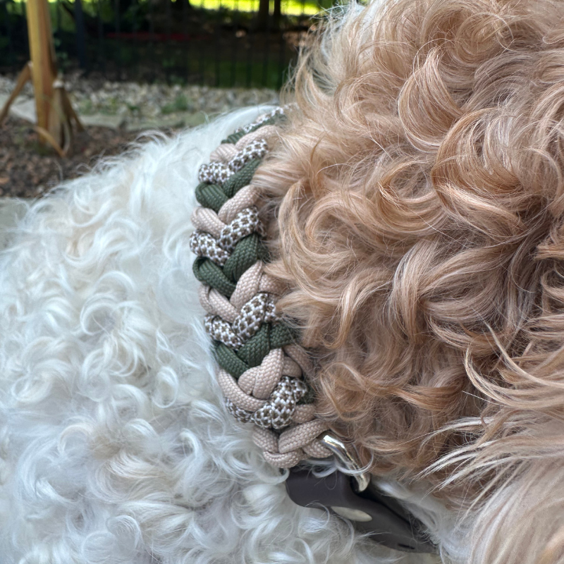 Coiled Charm Hand Braided Dog Collar in Olive, Light Tan, & Coyote Brown Diamonds - American Bark Bliss