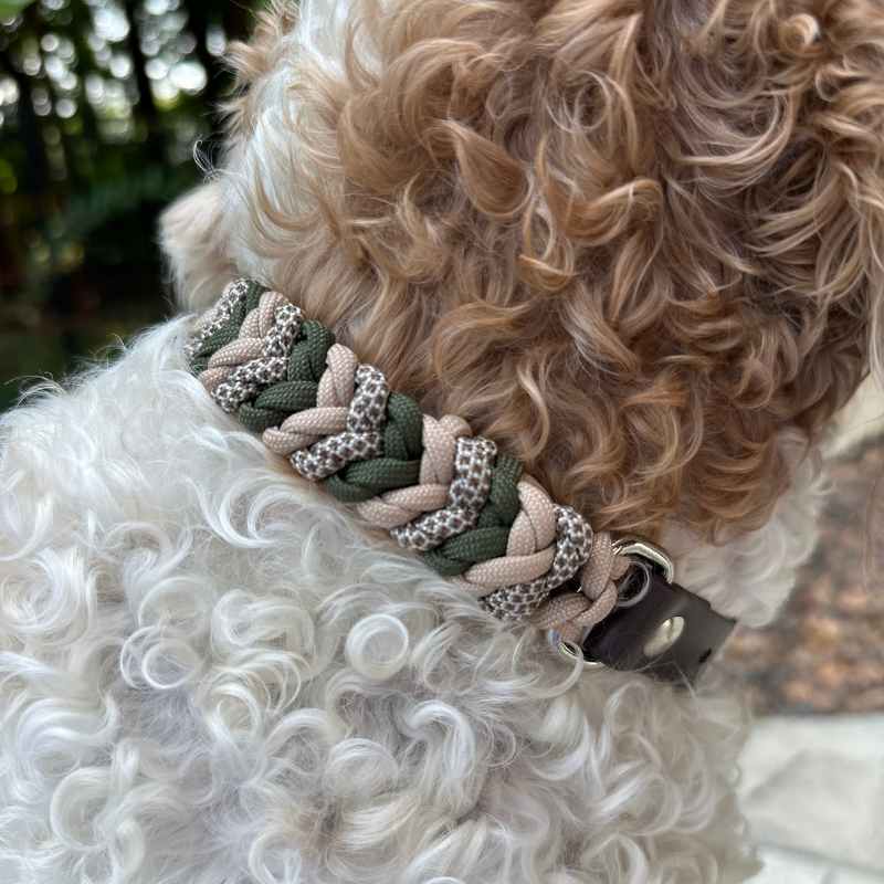 Coiled Charm Hand Braided Dog Collar in Olive, Light Tan, & Coyote Brown Diamonds - American Bark Bliss