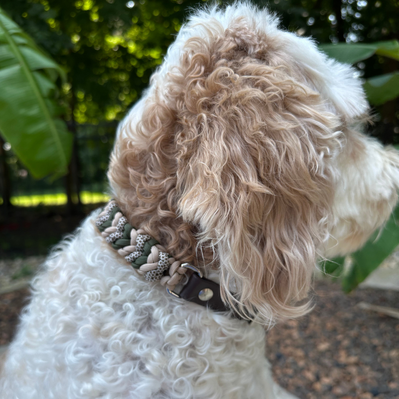 Coiled Charm Hand Braided Dog Collar in Olive, Light Tan, & Coyote Brown Diamonds - American Bark Bliss