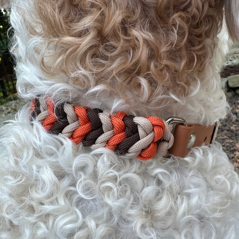 Coiled Charm Hand Braided Dog Collar in Burnt Orange, Walnut Brown, & Light Tan - American Bark Bliss