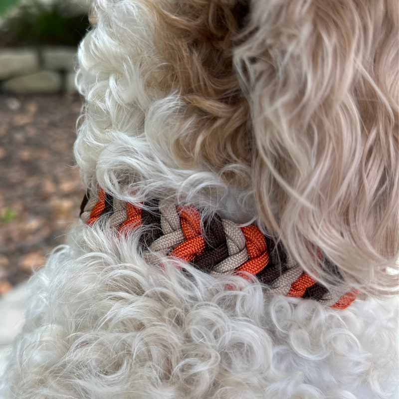 Coiled Charm Hand Braided Dog Collar in Burnt Orange, Walnut Brown, & Light Tan - American Bark Bliss