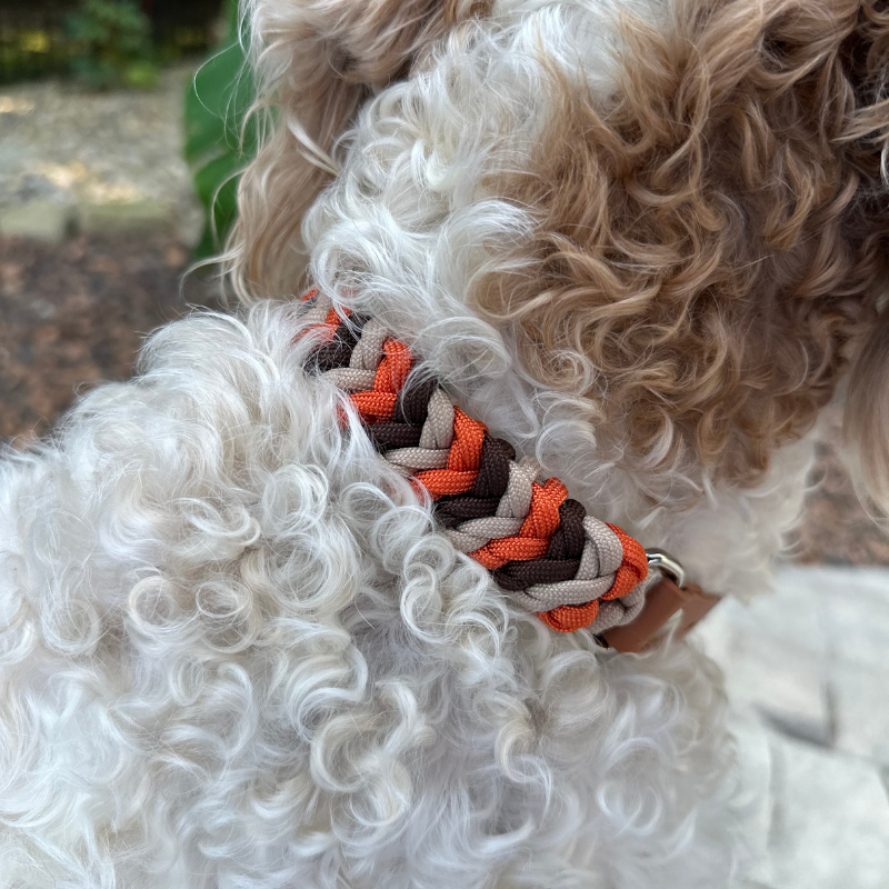 Coiled Charm Hand Braided Dog Collar in Burnt Orange, Walnut Brown, & Light Tan - American Bark Bliss