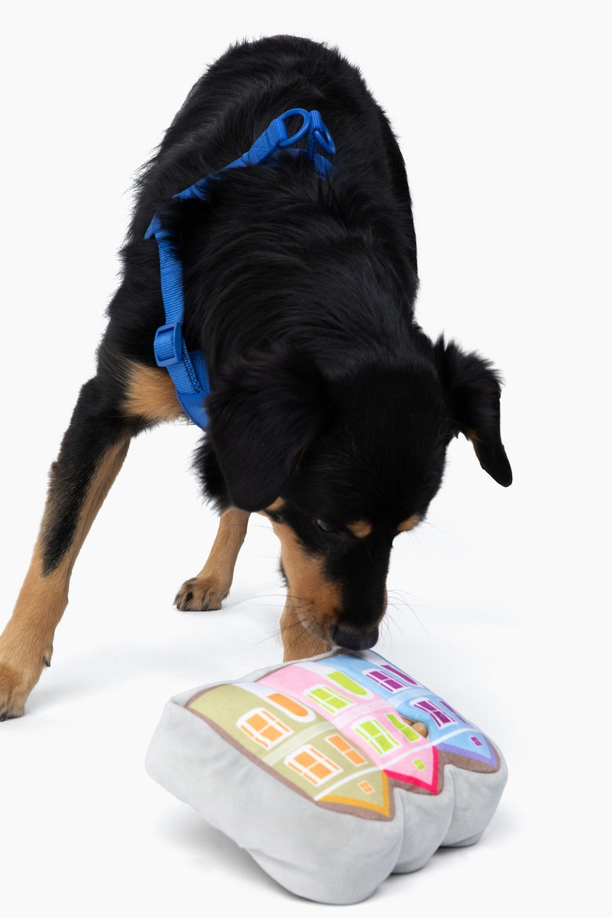 Nose Work Dog Toy Inspired by Painted Ladies - American Bark Bliss