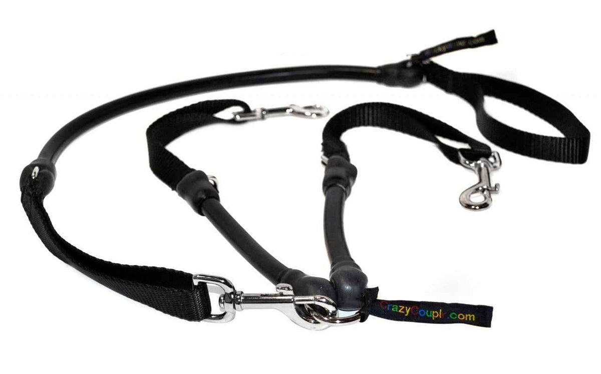 2 Dogs on 1 Leash - CRAZYcoupl'r