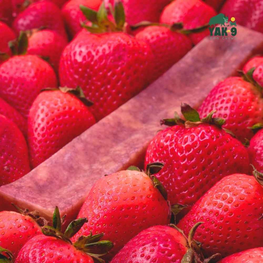 Strawberry Cheese Chews for Dogs