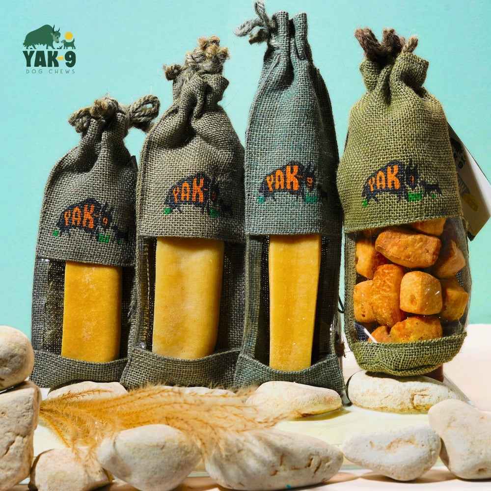 Yak and Cow Cheese Chews for Dogs