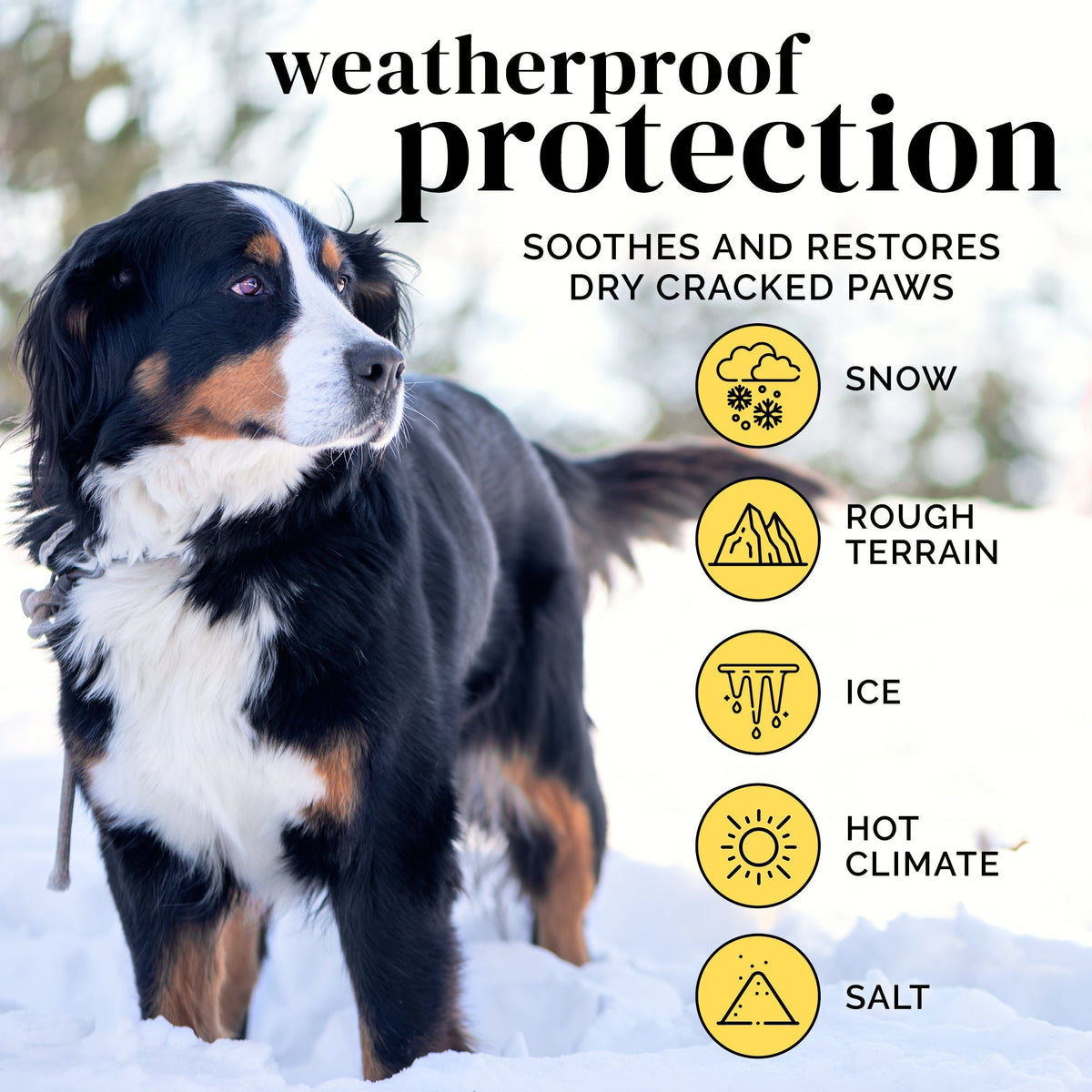 No. 1 Paw Balm