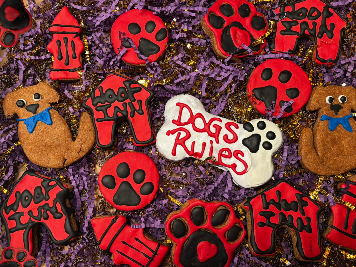 Dog Life Organic Dog Cookie Box | Handmade Decorated Dog Treats (Human-Grade, All-Natural)