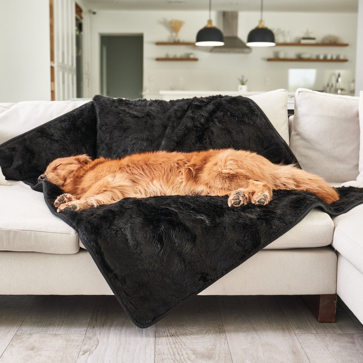 Waterproof Dog Blanket - Midnight Black Fur Throw - American Bark Bliss
