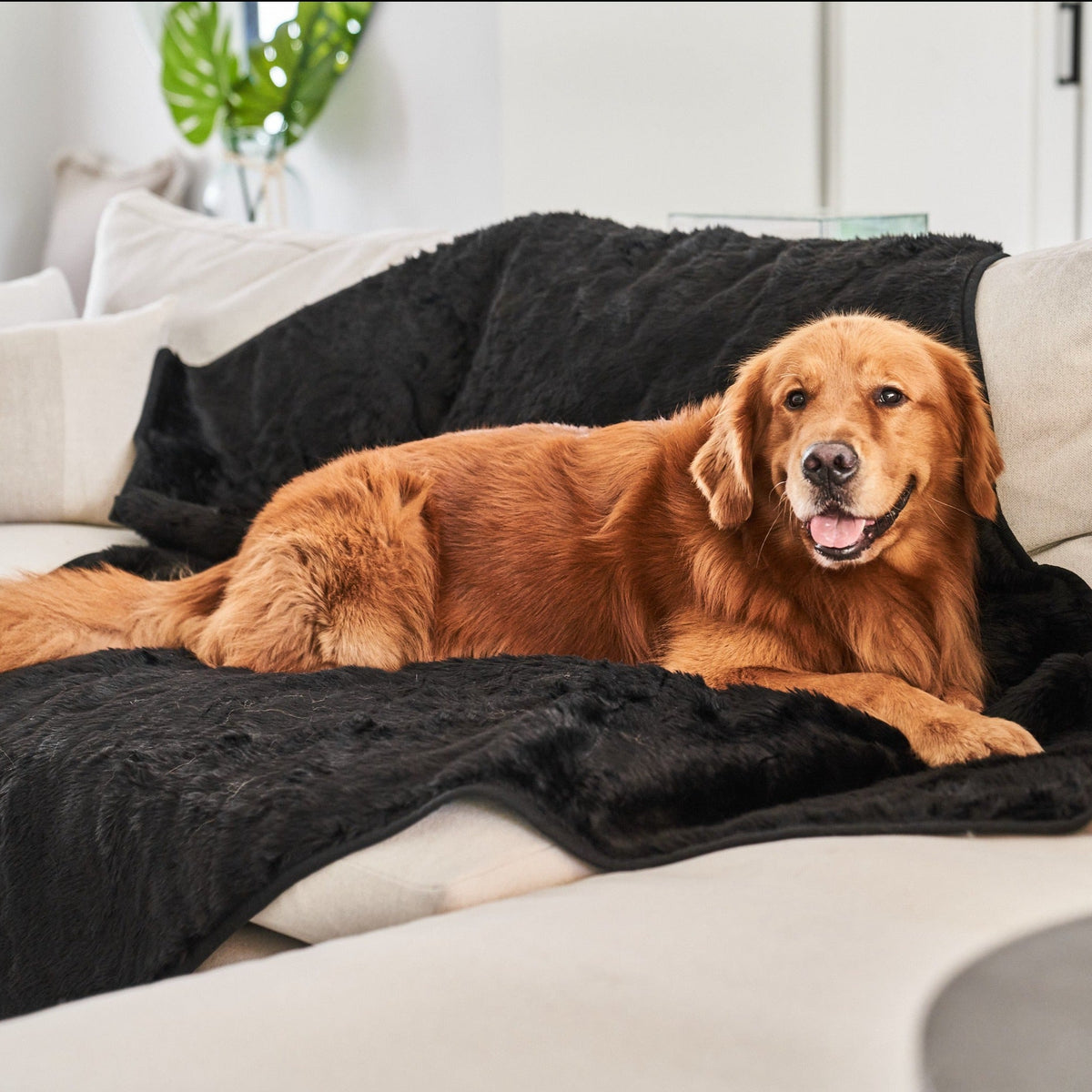 Waterproof Dog Blanket - Midnight Black Fur Throw - American Bark Bliss
