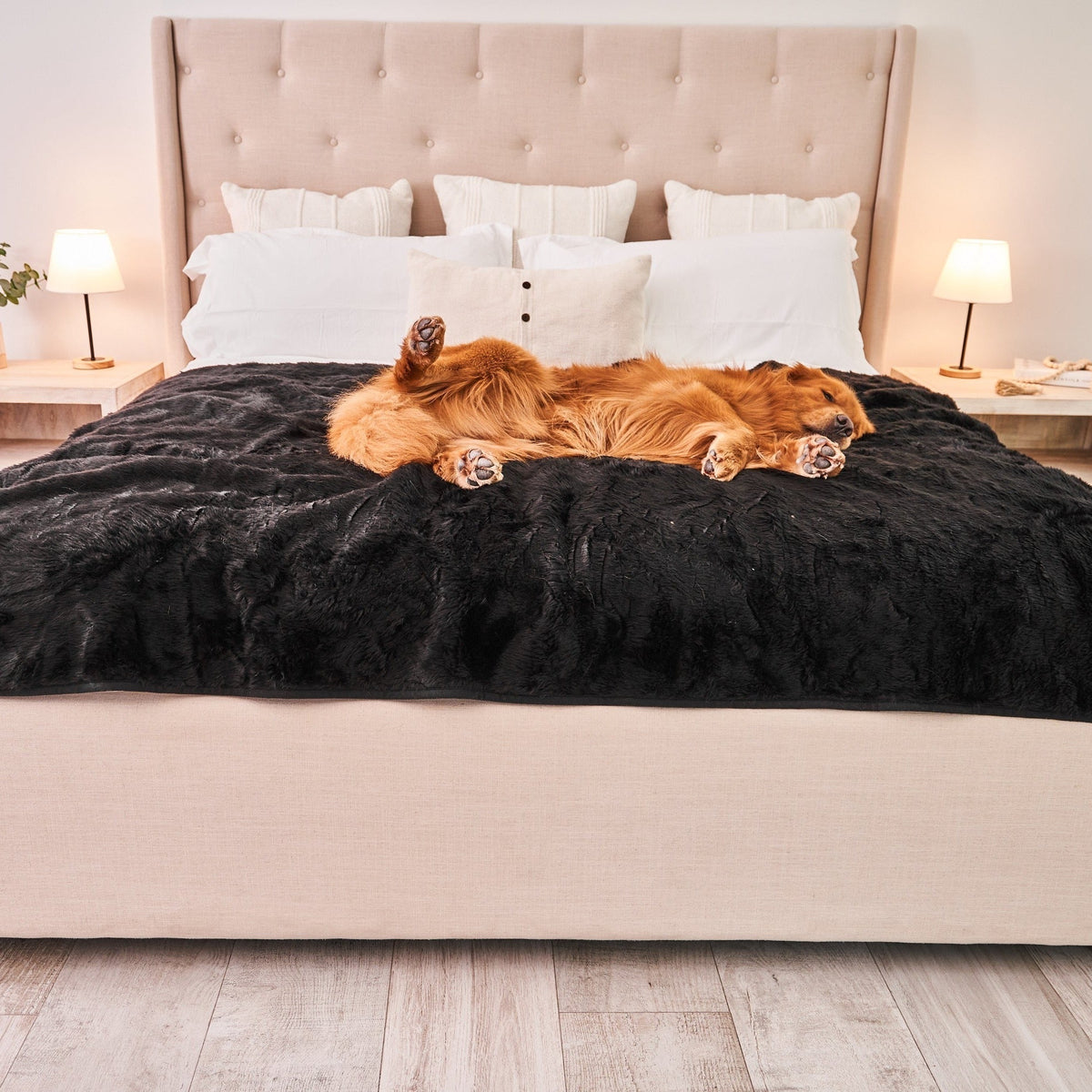 Waterproof Dog Blanket - Midnight Black Fur Throw - American Bark Bliss