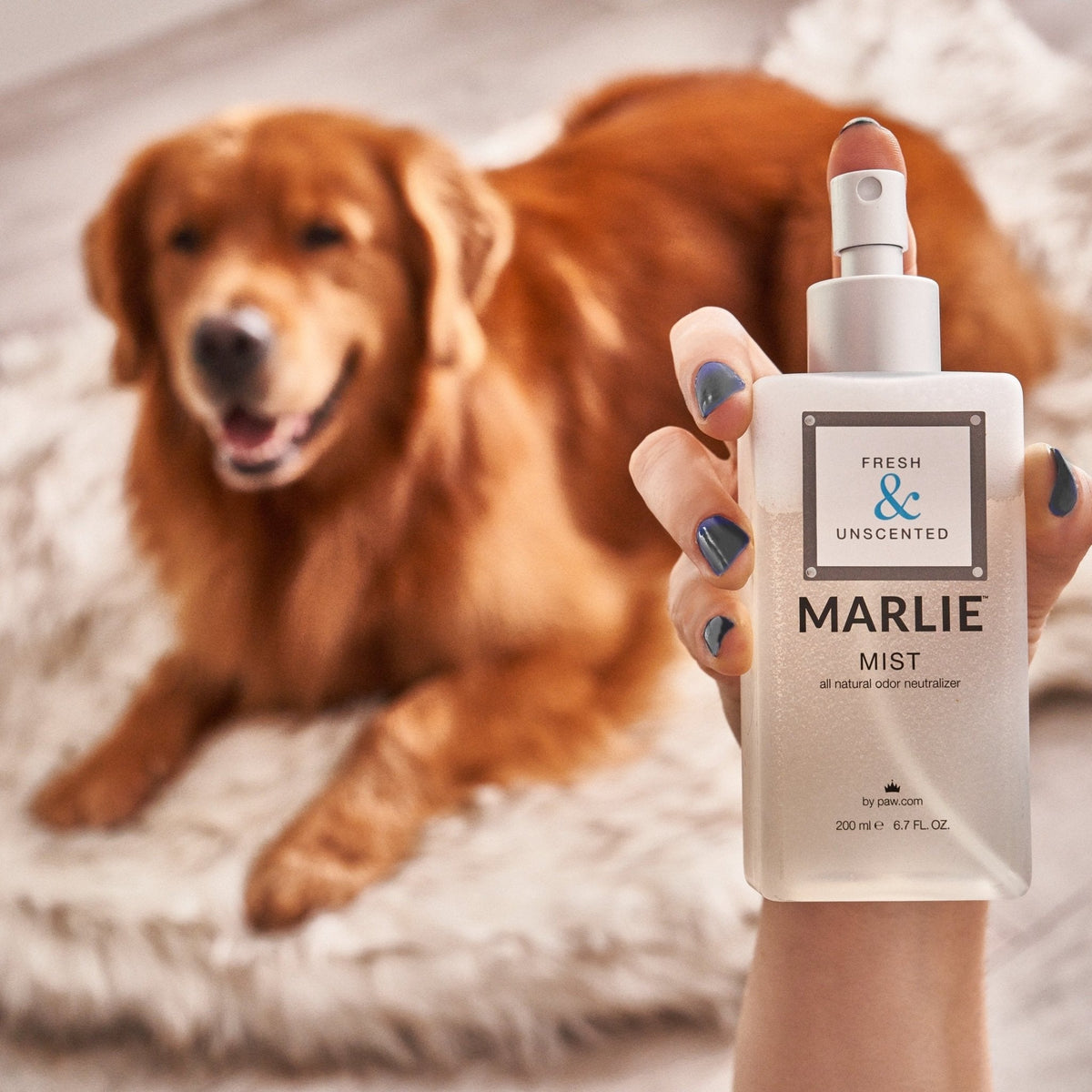 Marlie Mist Natural Pet Odor Eliminator Spray - American Bark Bliss