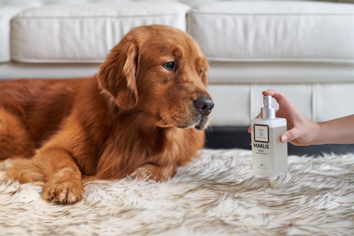 Marlie Mist Natural Pet Odor Eliminator Spray - American Bark Bliss
