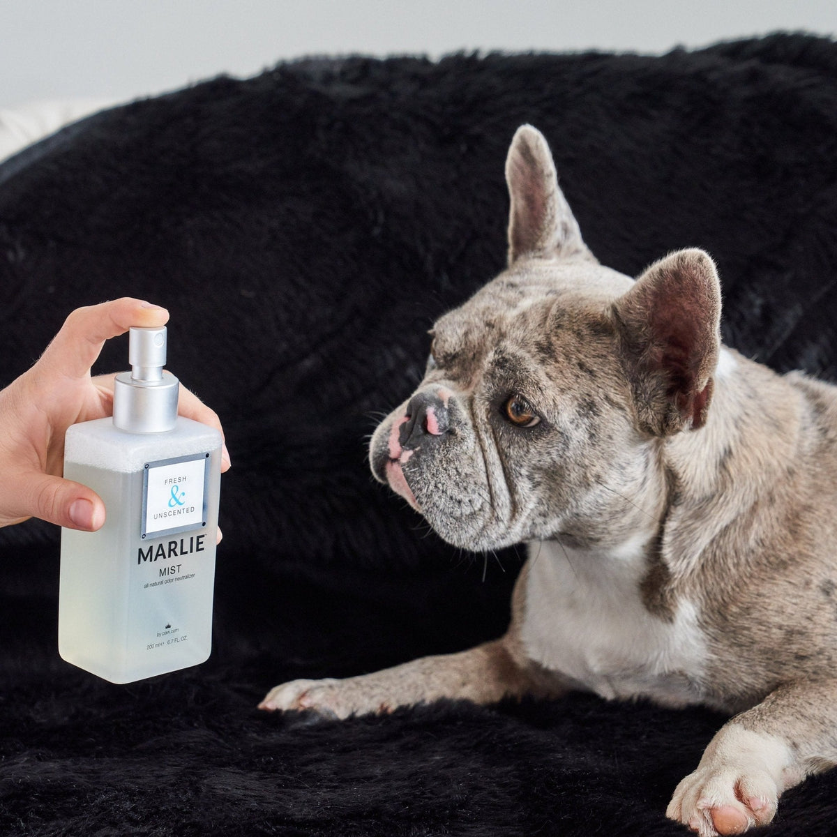 Marlie Mist Natural Pet Odor Eliminator Spray - American Bark Bliss