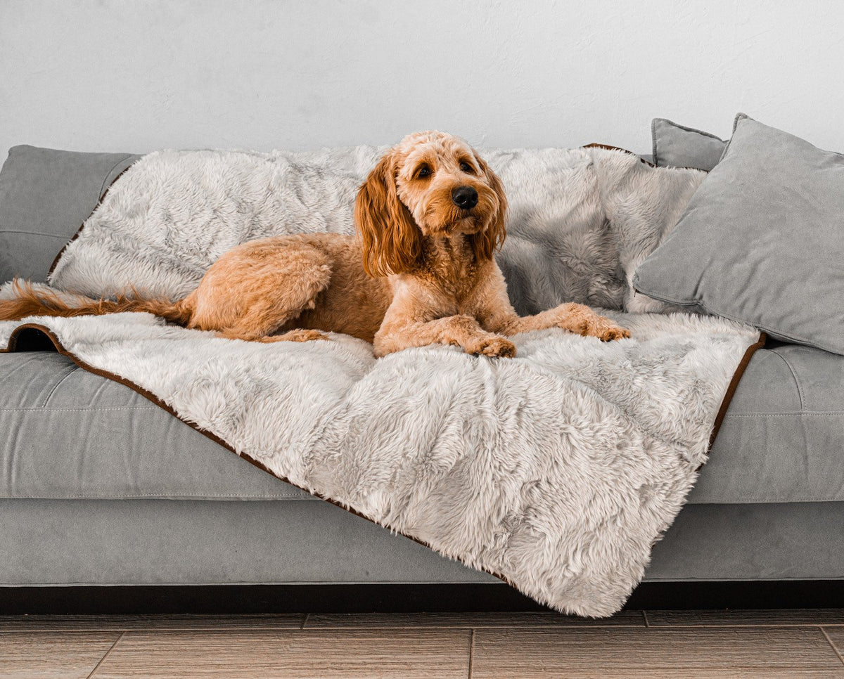 Short Fur Waterproof Throw Blanket for Pets - American Bark Bliss