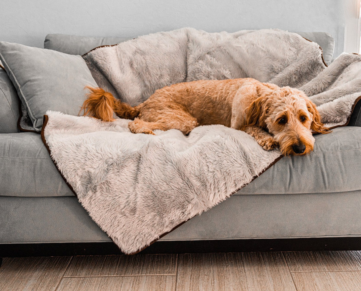 Short Fur Waterproof Throw Blanket for Pets - American Bark Bliss