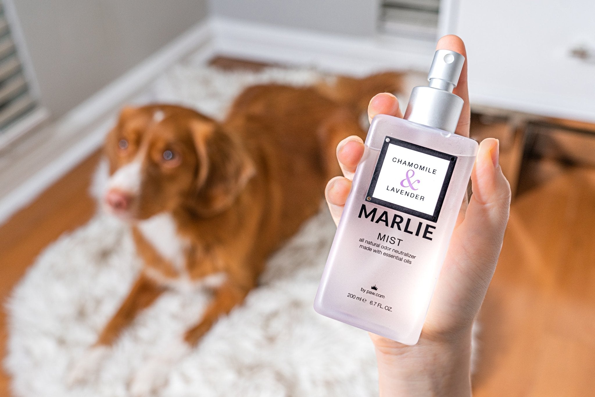 Marlie Mist Natural Pet Odor Eliminator Spray - American Bark Bliss
