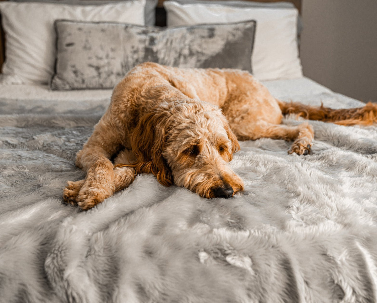 Short Fur Waterproof Throw Blanket for Pets - American Bark Bliss