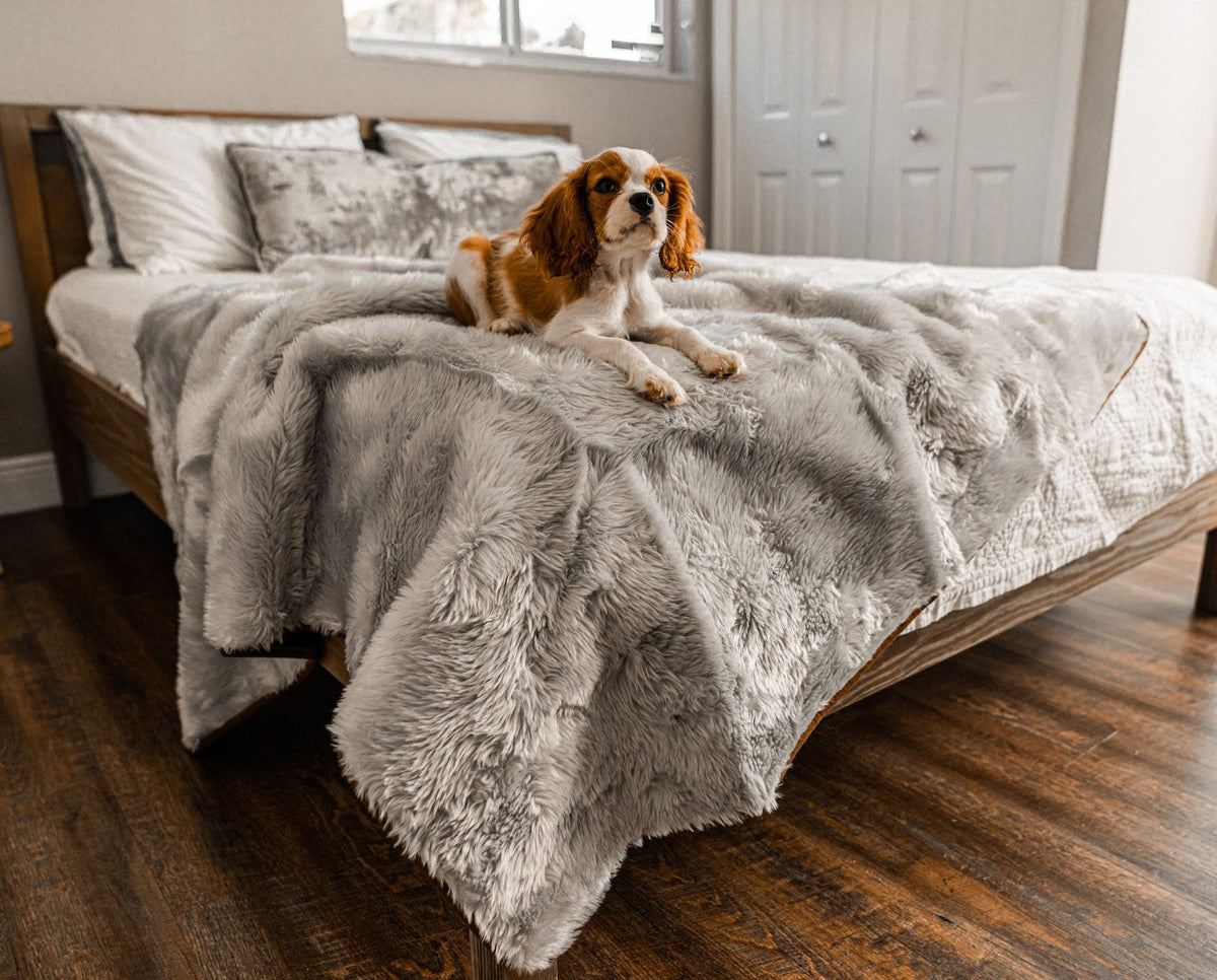 Short Fur Waterproof Throw Blanket for Pets - American Bark Bliss