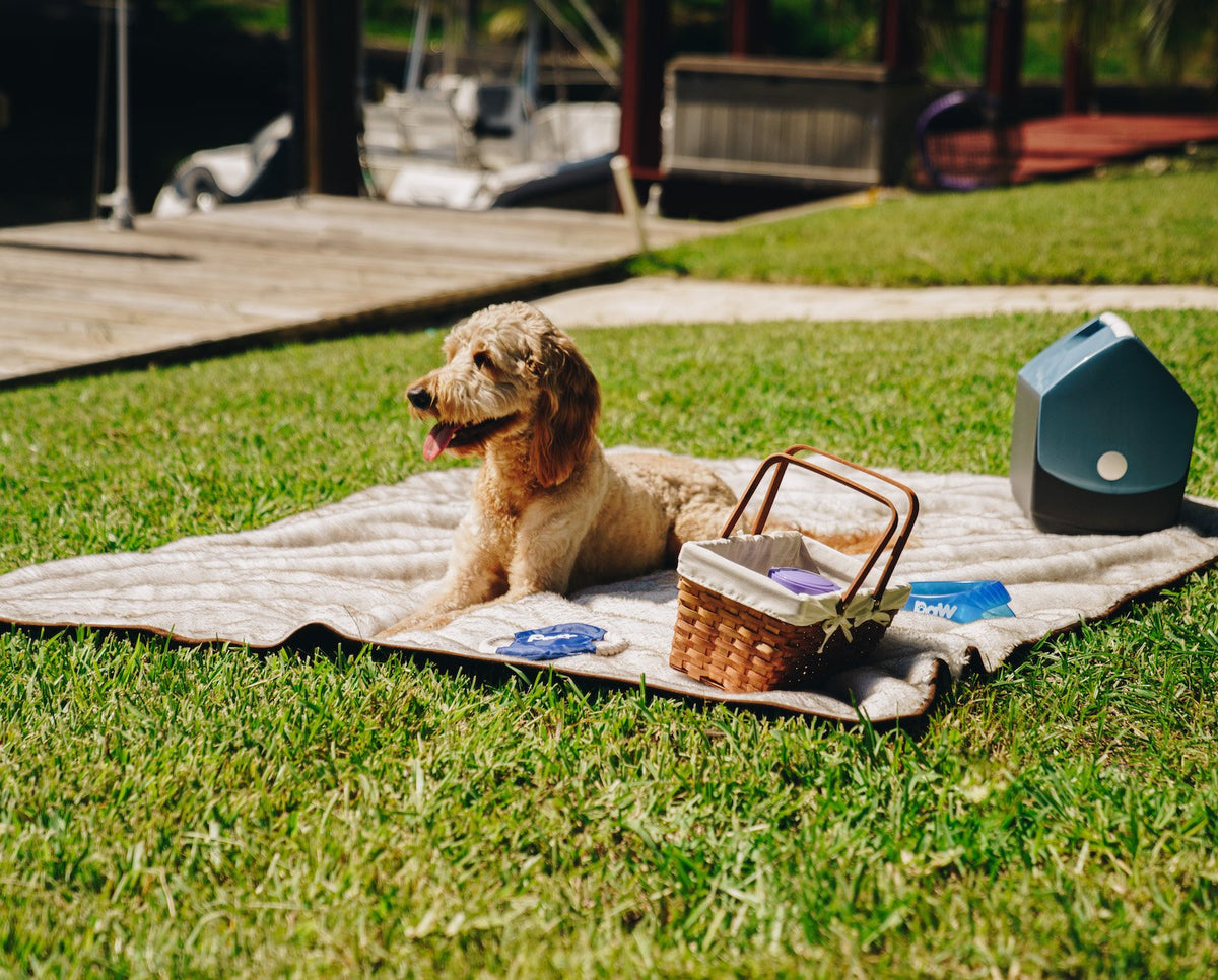 PupProtector Waterproof Dog Blanket - White Brown Accents - American Bark Bliss