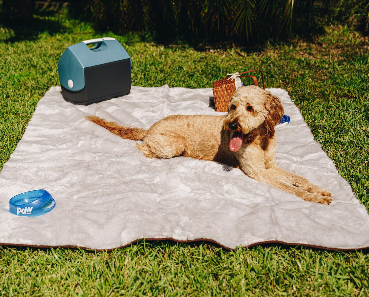Short Fur Waterproof Throw Blanket for Pets - American Bark Bliss