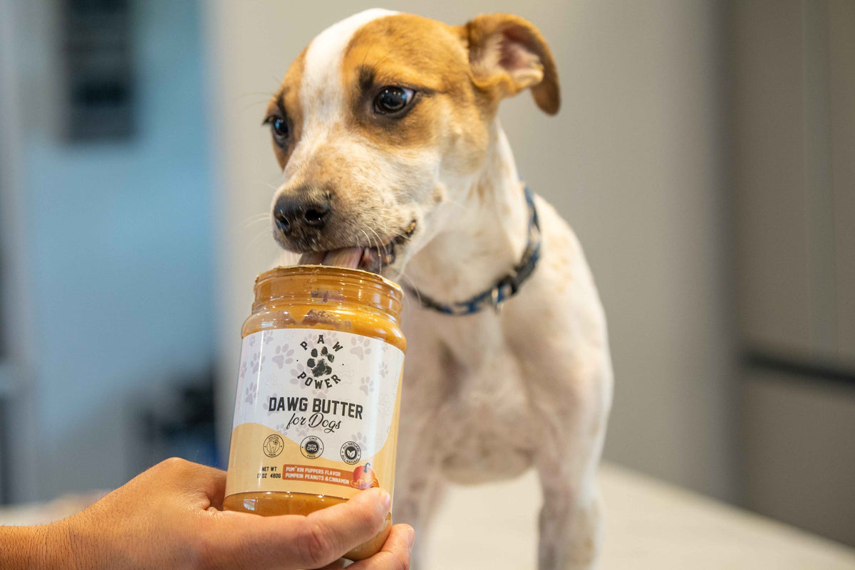 Dawg Butter Pum'kin Puppers Flavor - American Bark Bliss