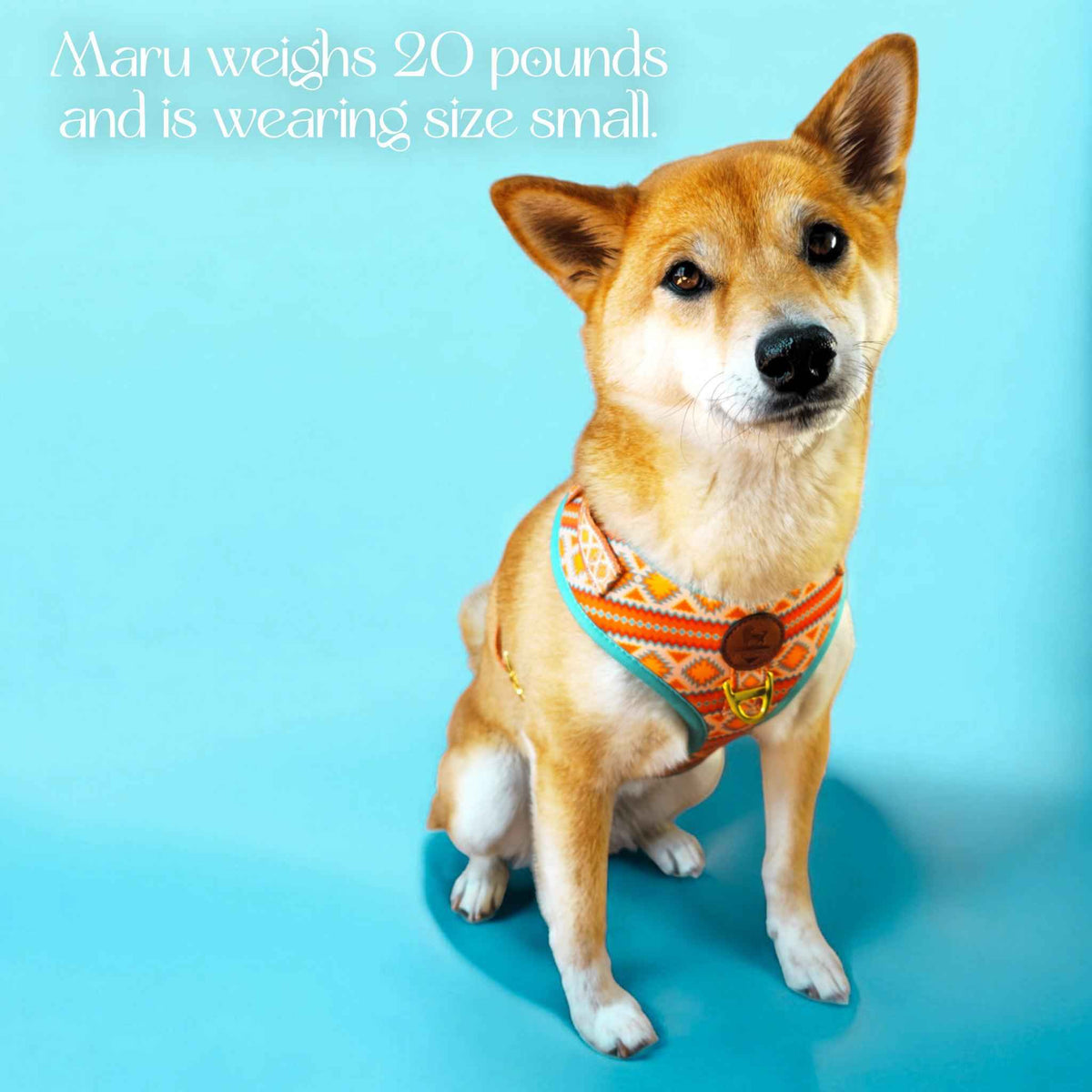 Desert Dream Harness - American Bark Bliss