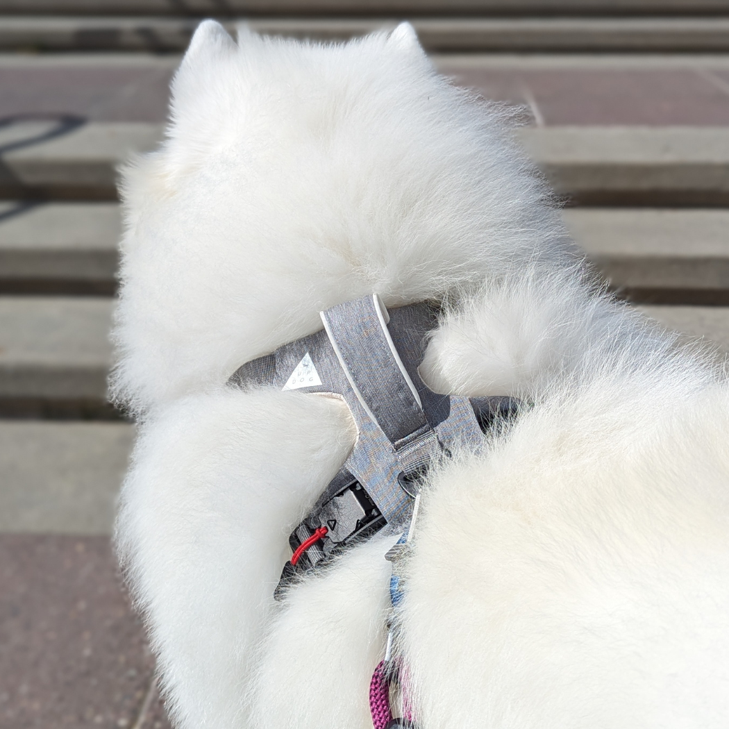 Magnetic Dog Harness - American Bark Bliss