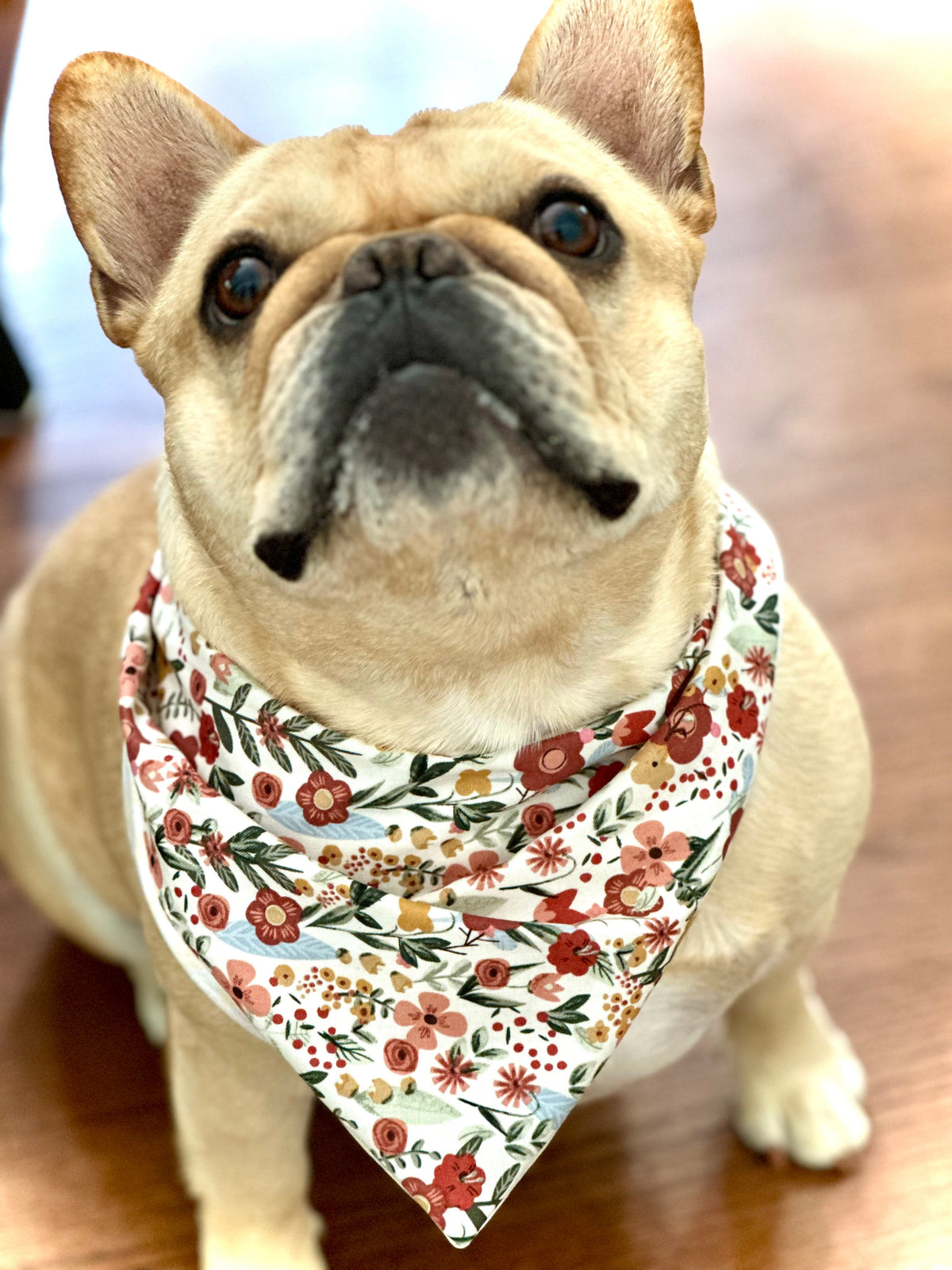 Chic Floral Dog Bandana for Stylish Pups - American Bark Bliss
