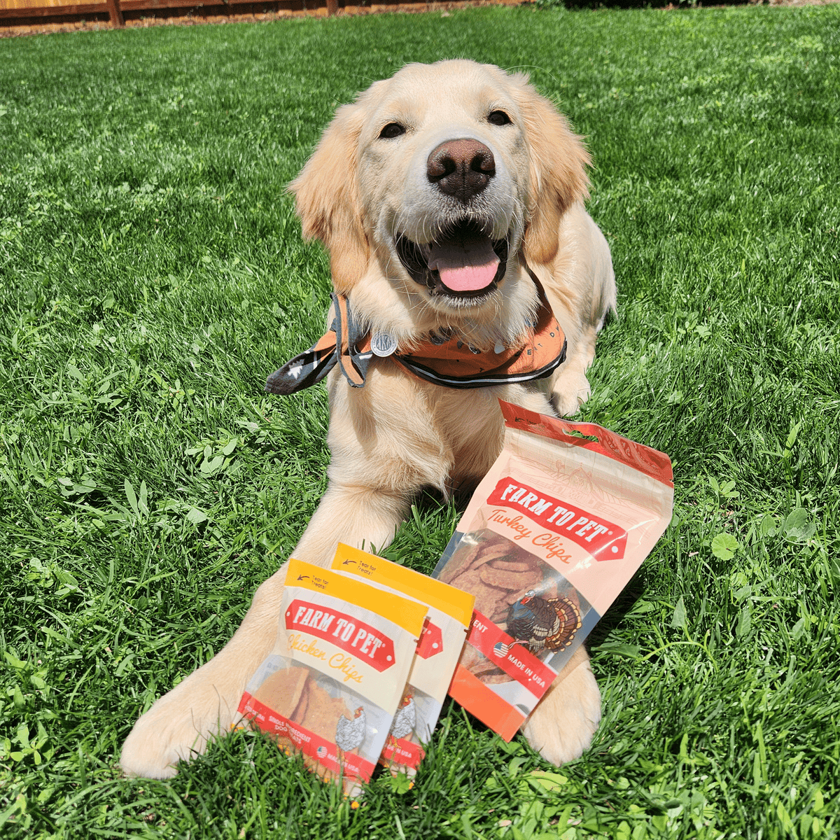 Puppy Packs 'n Snacks Dog Treat Starter Pack | Single-Ingredient Training Treats - American Bark Bliss