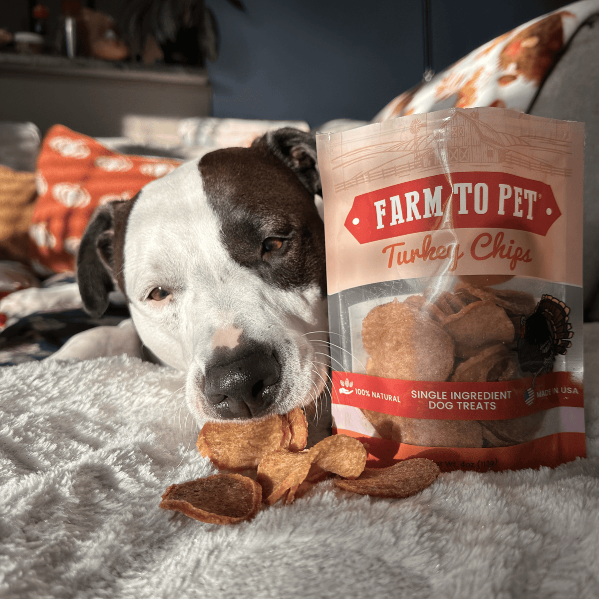 Turkey Chips for Dogs | All-Natural Single-Ingredient Healthy Dog Treats - American Bark Bliss