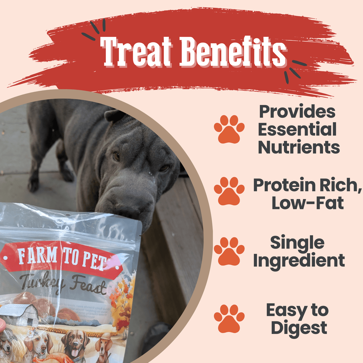 Turkey Feast Chips - American Bark Bliss