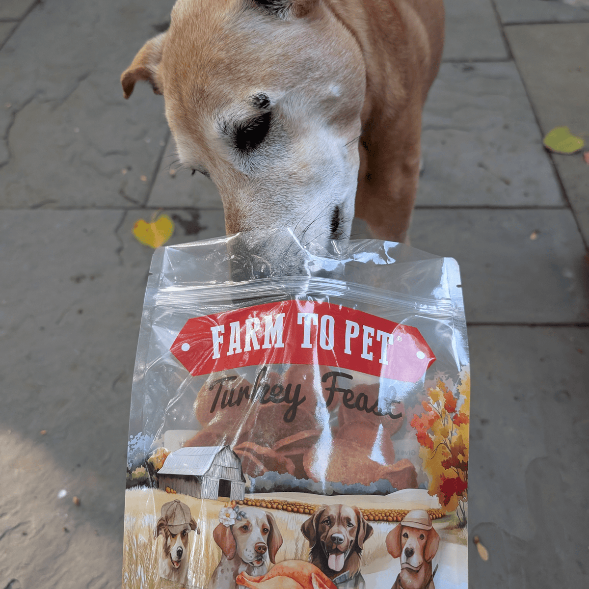 Turkey Feast Chips - American Bark Bliss
