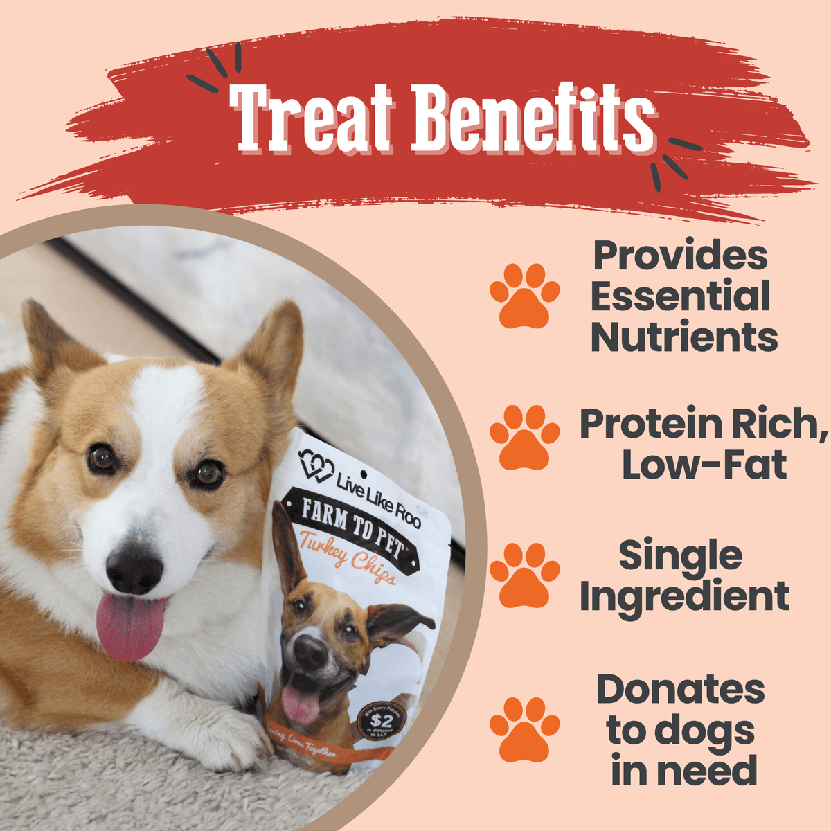 Live Like Roo Turkey Chips for Dogs | Dog Treats That Give Back - American Bark Bliss