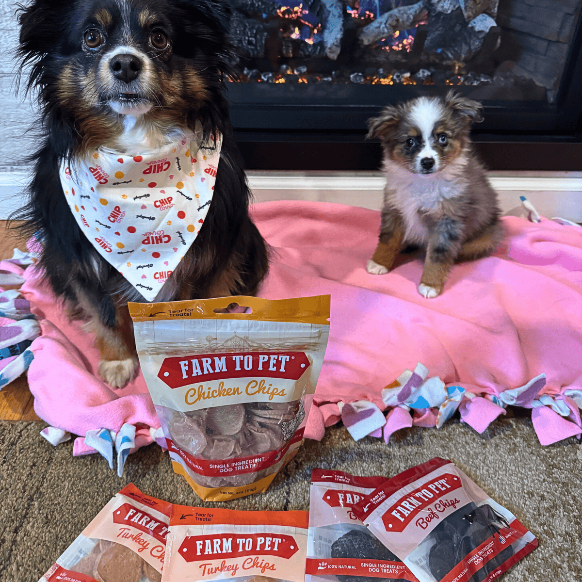 Puppy Packs 'n Snacks Dog Treat Starter Pack | Single-Ingredient Training Treats - American Bark Bliss