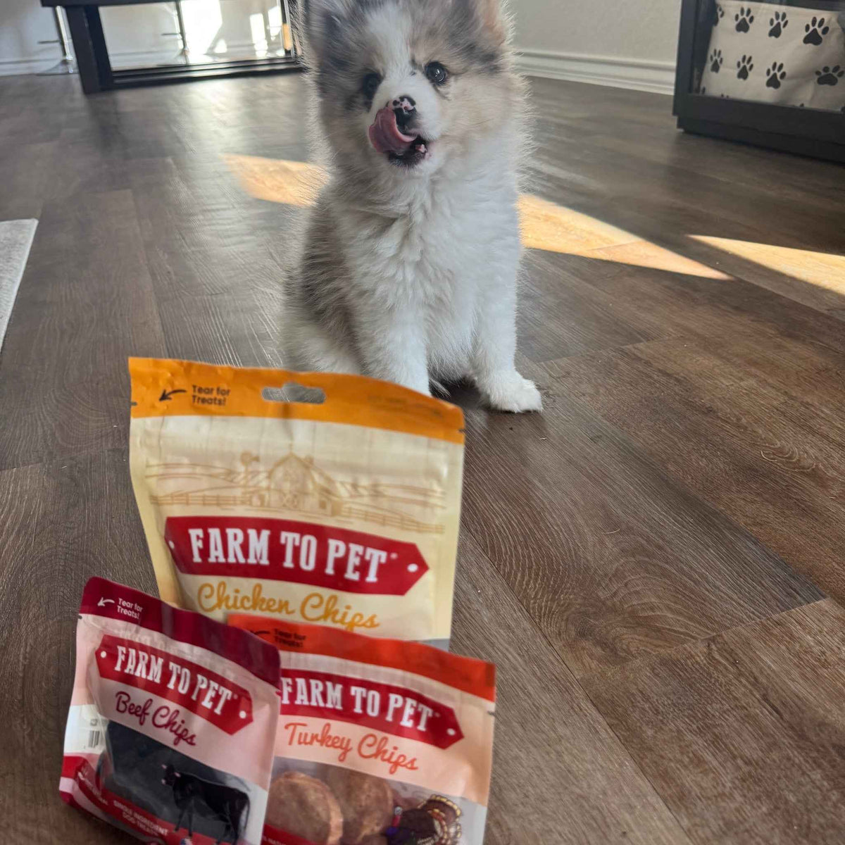 Puppy Packs 'n Snacks Dog Treat Starter Pack | Single-Ingredient Training Treats - American Bark Bliss