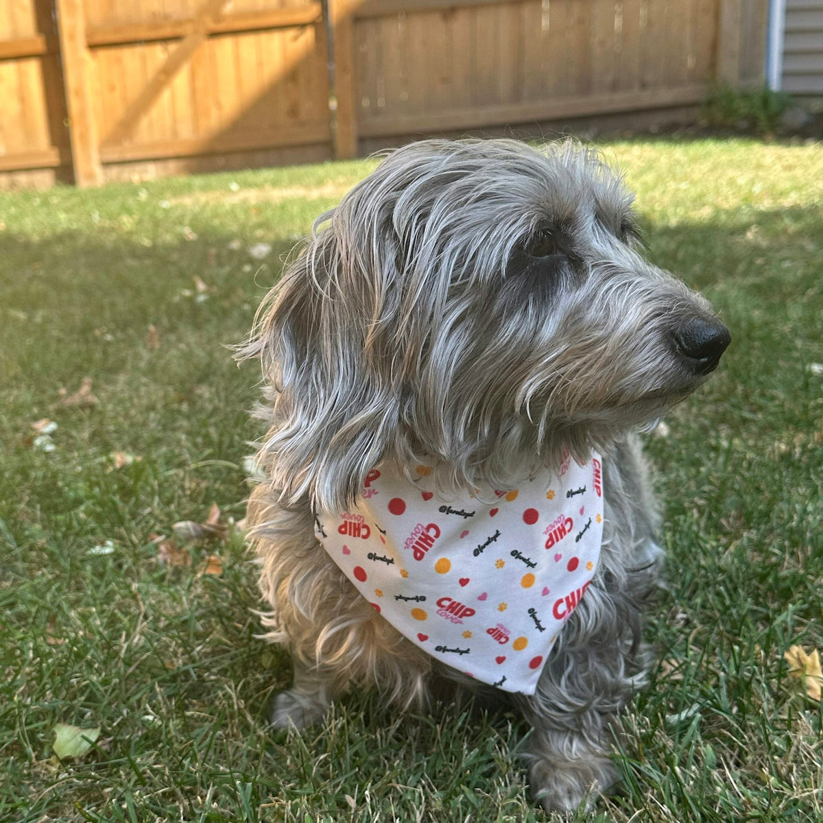 Tie-on Dog Bandana | Adjustable String-tie Bandana for Dogs and Cats