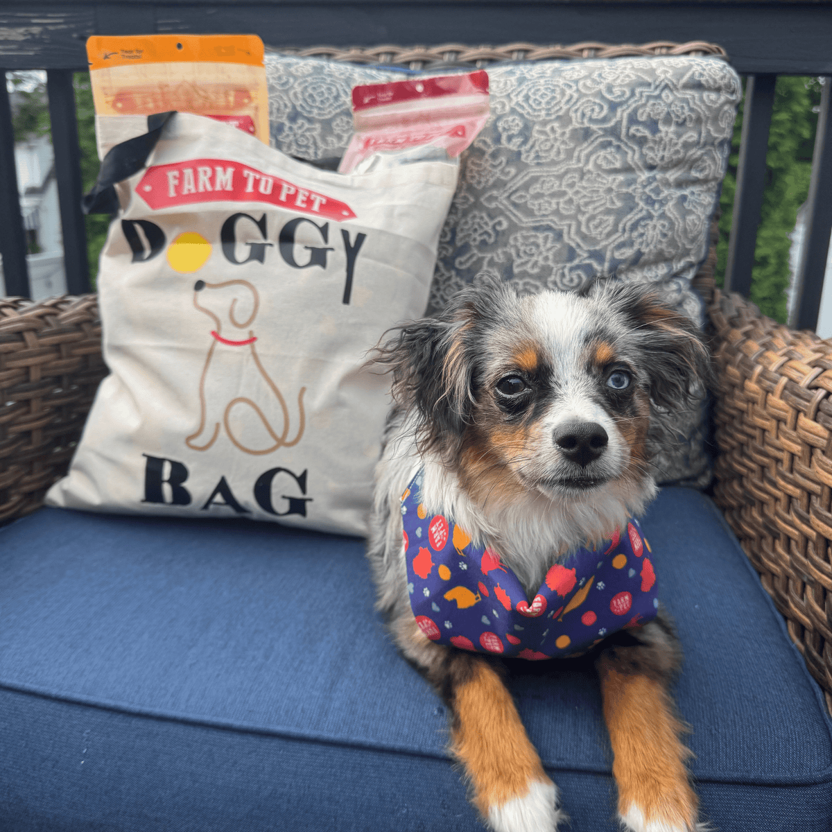 Farm To Pet Tote Bag | Paw-some Gift for Animal Lovers - American Bark Bliss