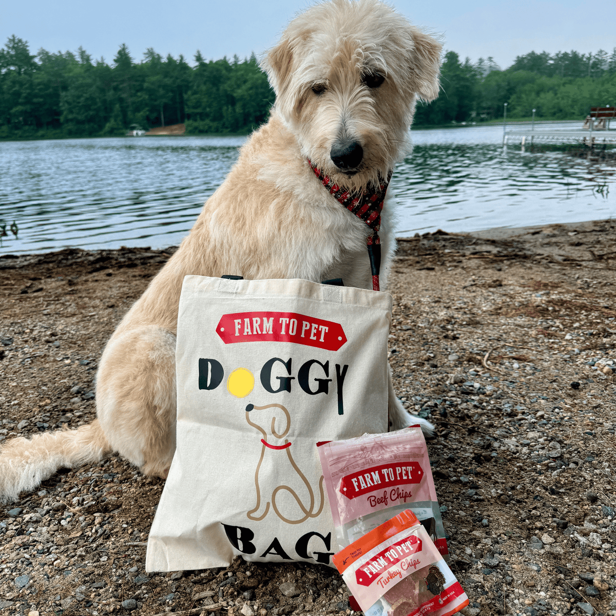 Farm To Pet Tote Bag | Paw-some Gift for Animal Lovers - American Bark Bliss