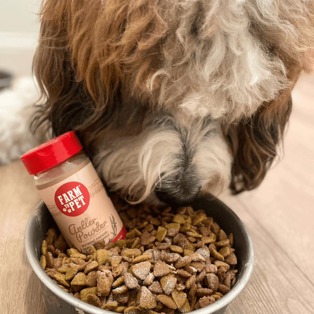 Treat Topper Antler Powder Dog Food Topper | Nutritional Supplement for Dogs and Cats - American Bark Bliss